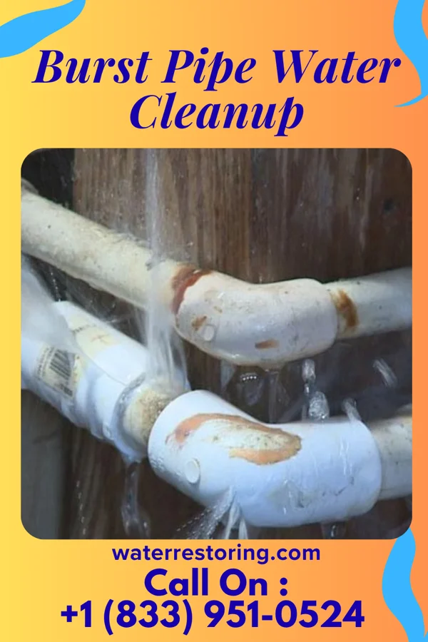 Burst Pipe Water Cleanup in Winchester, MO