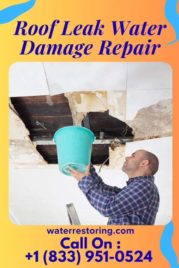 Roof Leak Water Damage Repair in Winchester, MO